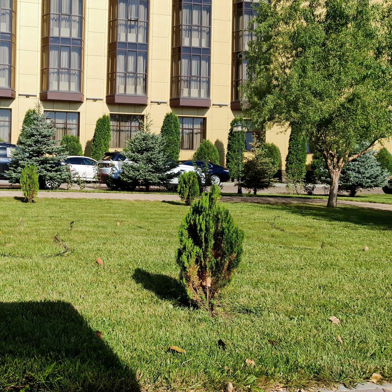 Гостиница Маск Пятигорск-30