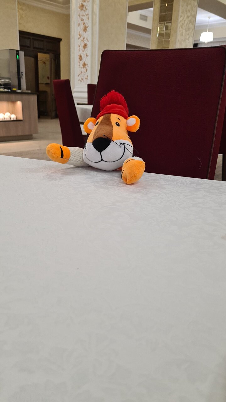 Гостиница Маск Пятигорск-160