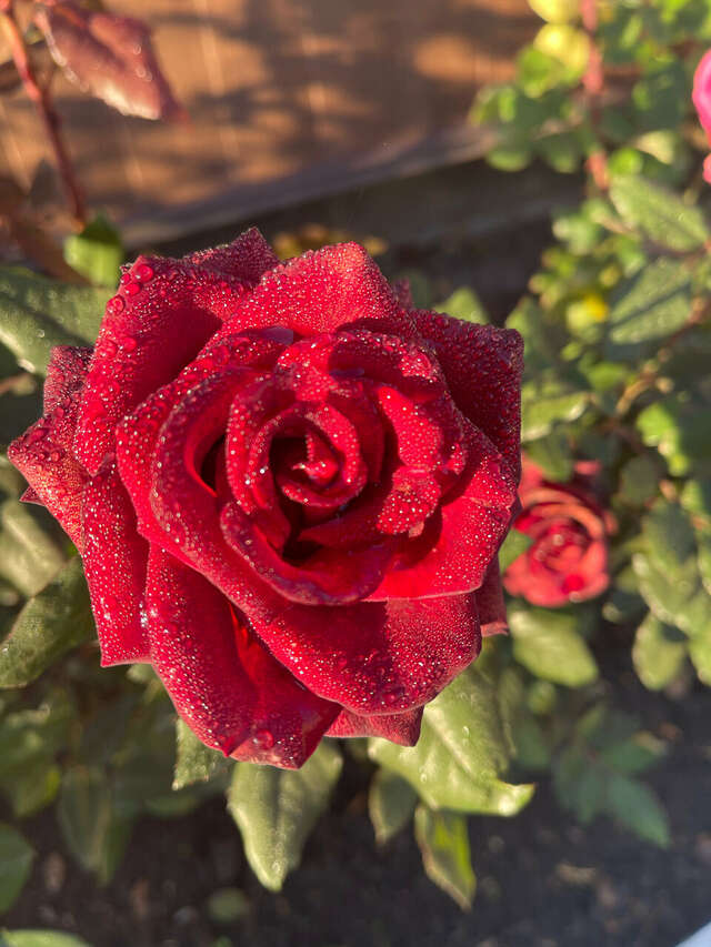 Гостиница Маск Пятигорск-81