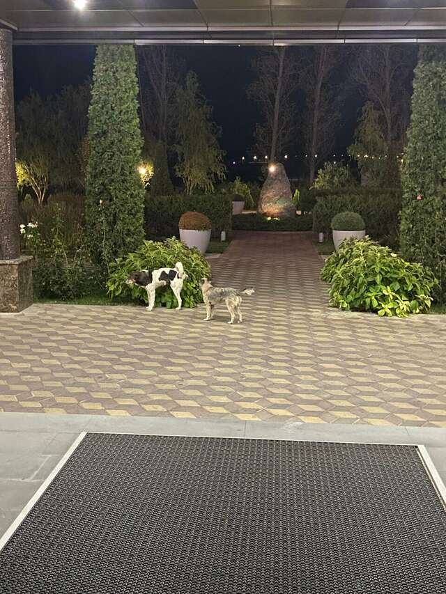 Гостиница Маск Пятигорск-48