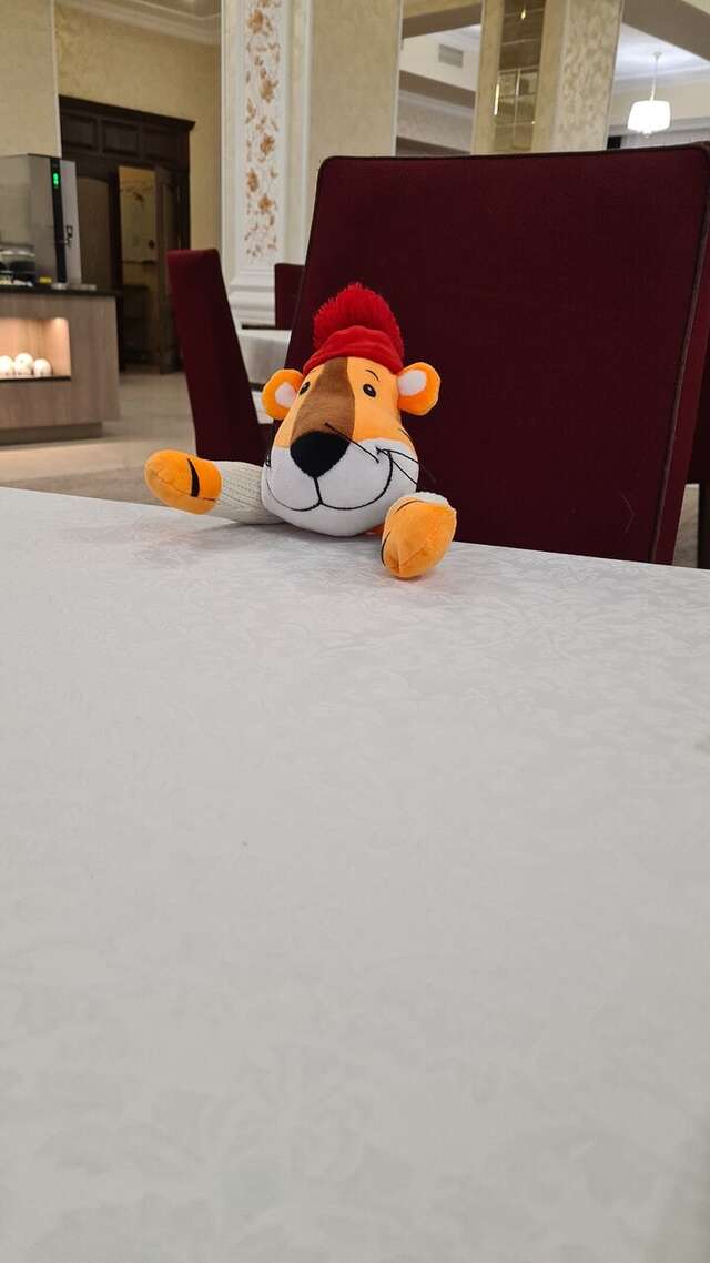 Гостиница Маск Пятигорск-159